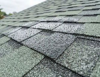RejuvaRoof bio-based treatment on asphalt shingles