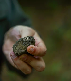 The truffle, in hand