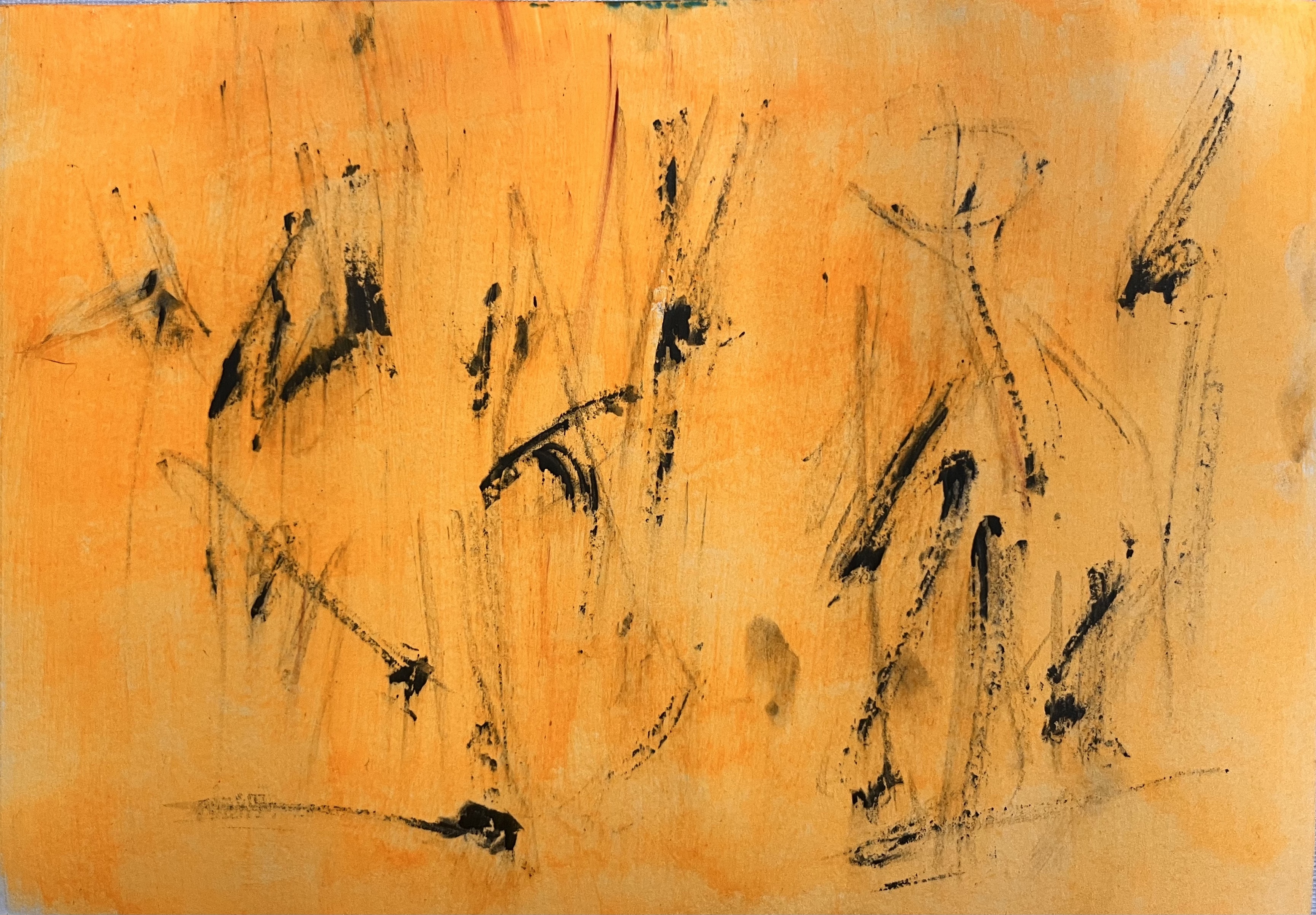 Antígonas en el desierto II