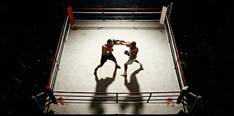 The Apex — Bird's-Eye Main Event