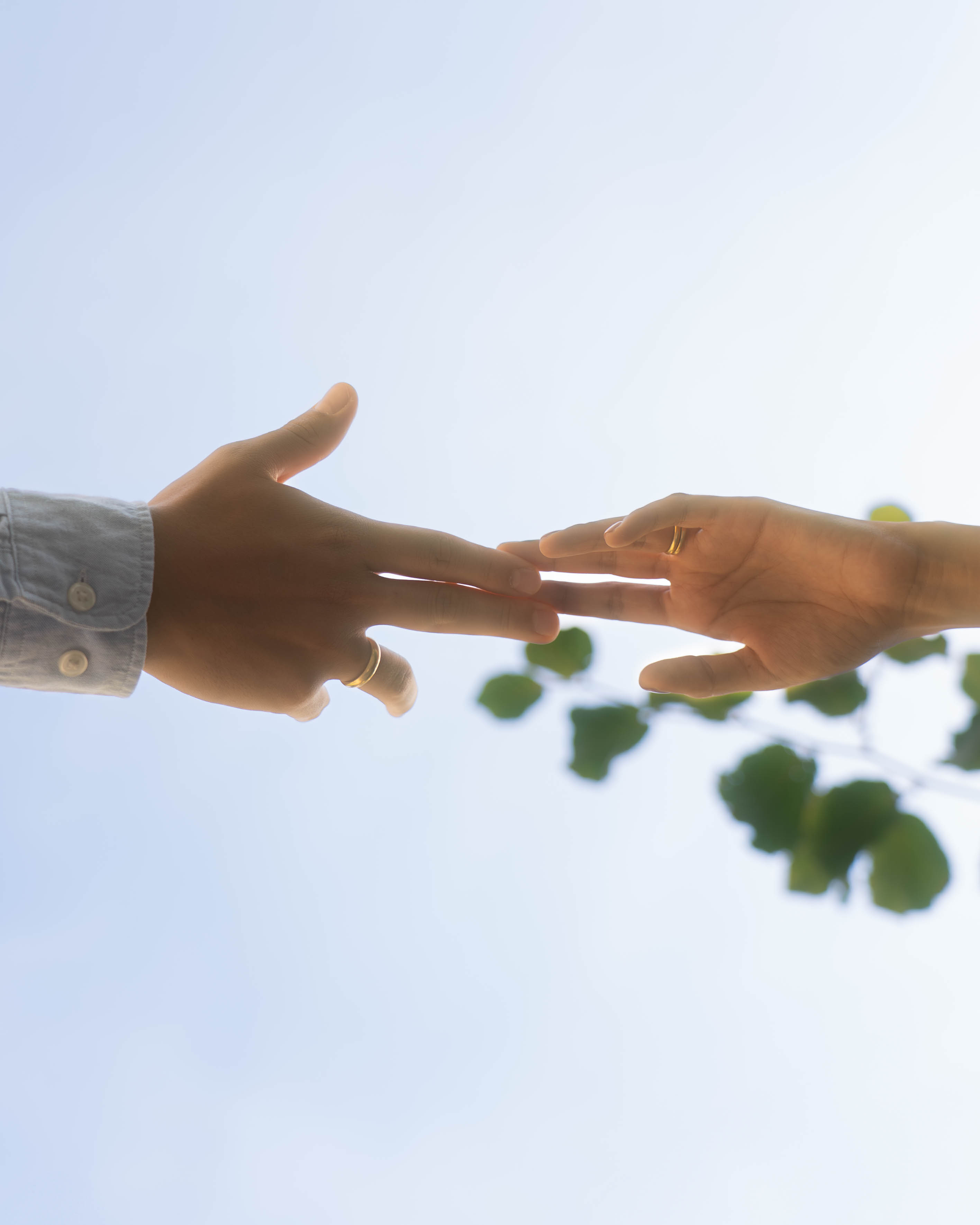 Close-up of two hands reaching toward each other against a bright sky, gold rings visible