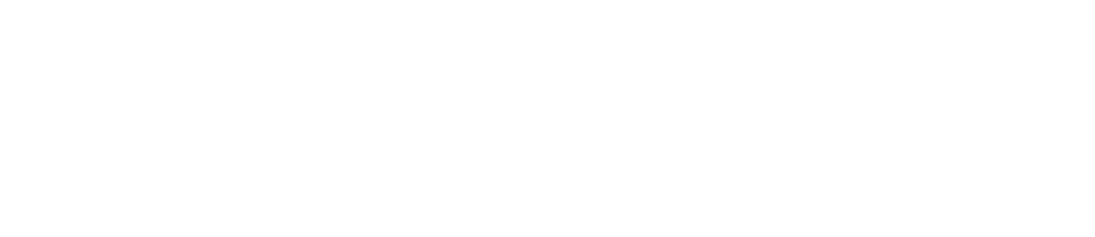 ScholarRise