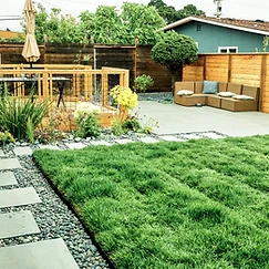 Natural Lawn & Seating