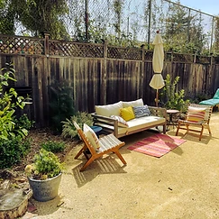 Drought-Tolerant Front Yard