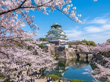 Osaka Castle & Street Food Safari