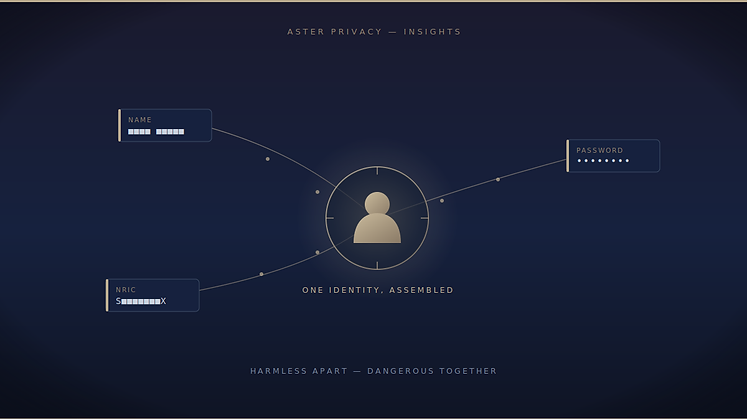 What someone can actually do with your name, NRIC, and a leaked password