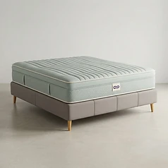 PostureFlex PureSleep