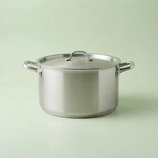 Stainless steel pot