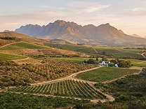 Boschendal Valley Orchards