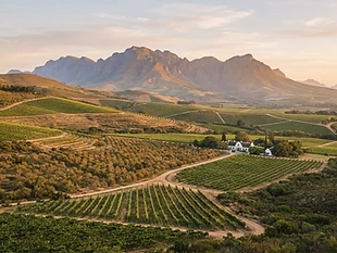 Boschendal Valley Orchards