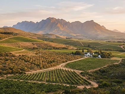 Boschendal Valley Orchards
