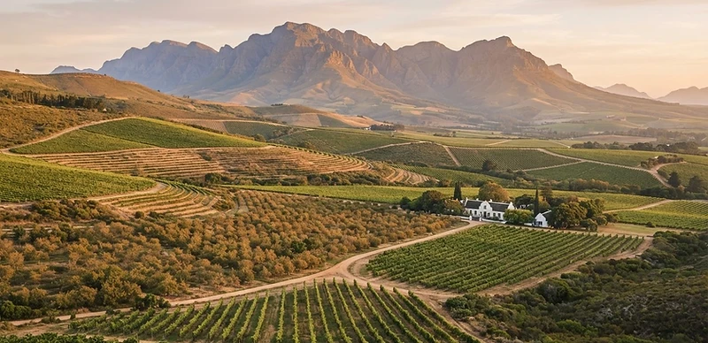 Stellenbosch Berg Vineyard Estate · image 1