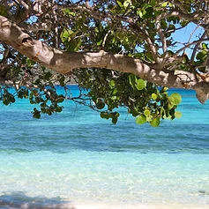 Barbados