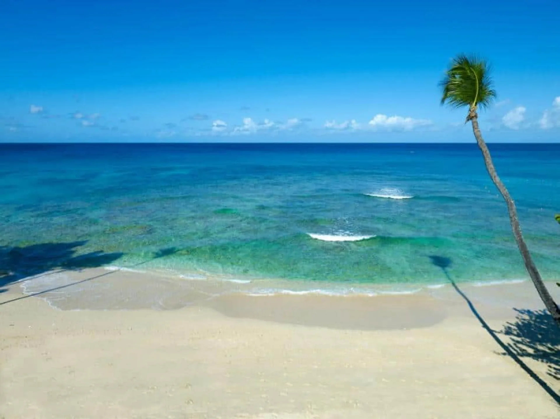 Treasure Beach