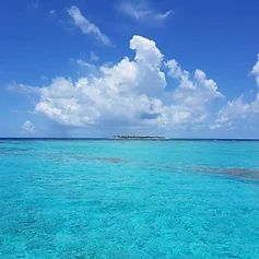 Grenadines