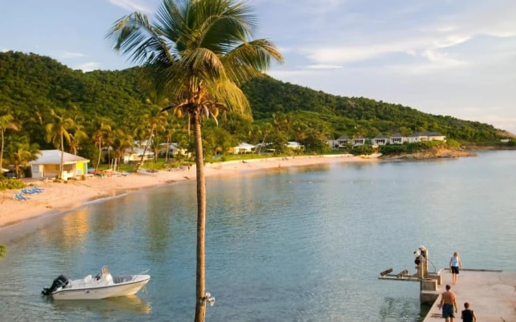 Hawksbill Antigua