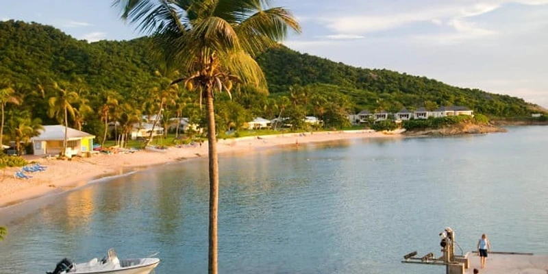 Hawksbill Antigua