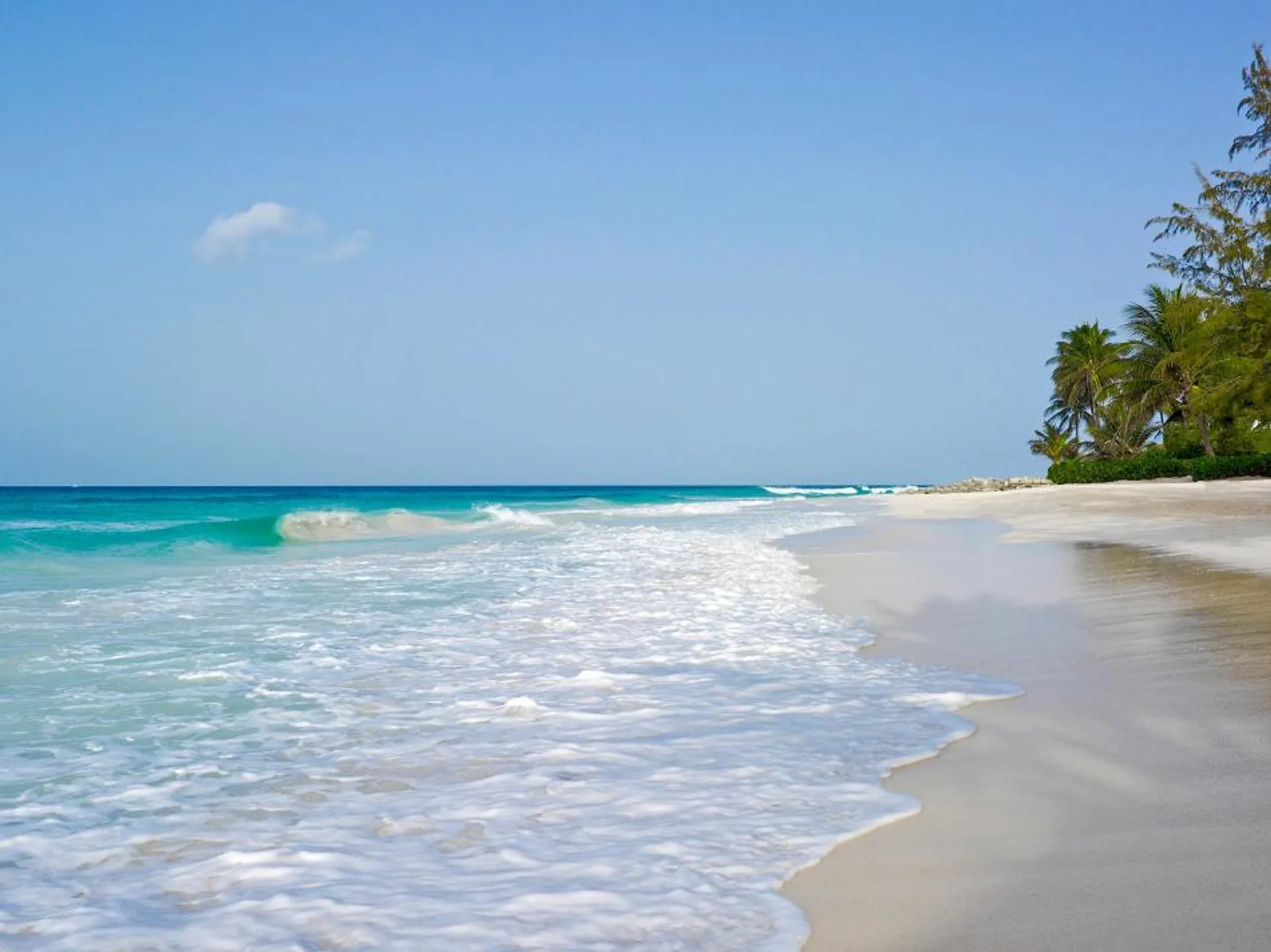 Turtle Beach Resort