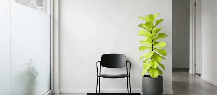 A calm minimal clinic waiting area representing health clinic marketing