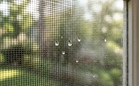 A close-up of a clean window screen with sunlight, illustrating window screen cleaning in Plymouth, Michigan.