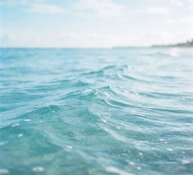 Top-down photograph of wet sand ripples