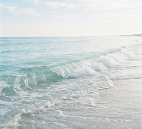 Quiet shoreline with a single wave crest
