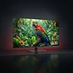 Samsung 65" QLED 4K Q80C TV – 1