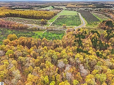 Karnes Road land