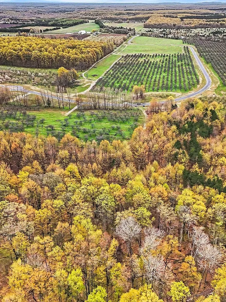 Aerial view of Karnes Road and the Glen Arbor lake country