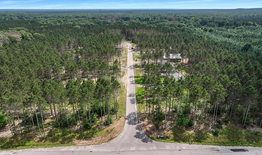 Aerial view of homesites among mature pines