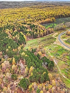 Aerial autumn view of forested Northworks community land in Traverse City, Michigan