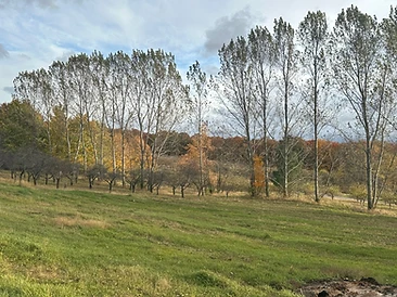 Karnes Road land