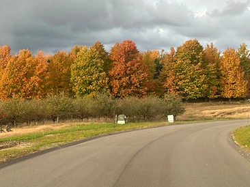 Karnes Road land