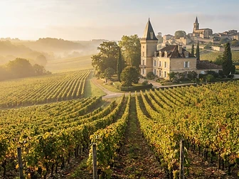 Chauffeur privé Médoc : VTC et taxi luxe vers Pauillac, Margaux et Saint-Estèphe