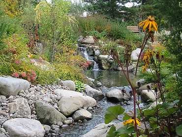 Cascade et bassin dans un jardin naturel