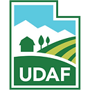 UDAF