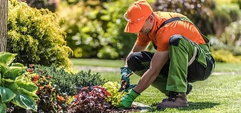 Landscaping business in Arizona driving seasonal lawn care and hardscape project leads with Sorevi paid ads