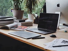 Professional Services