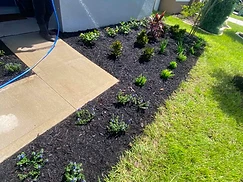 Fresh Mulch & Water-In