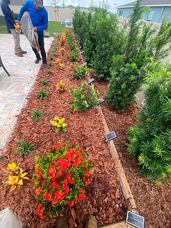 Caballero's Earthworx crew mulching a garden bed with solar landscape lighting in Polk County, FL