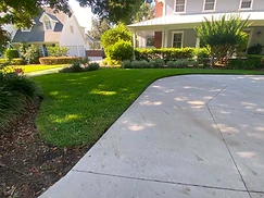 Driveway Edge & Lawn Detail