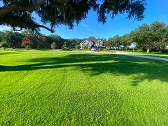 Estate Lawn Maintenance