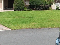 Curb Appeal — Trimmed Shrubs