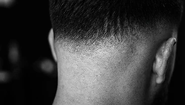 The Fade