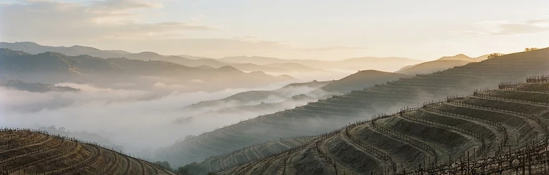 Topographic landscape of Napa Valley