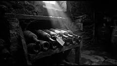 Private cellar with twelve unmarked wine bottles