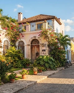 bienes_raices