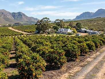 4 bedroom Farm for sale in Ceres rural