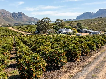 4 bedroom Farm for sale in Ceres rural