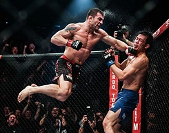 Football, MMA & boxing